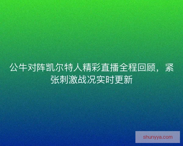 公牛对阵凯尔特人精彩直播全程回顾，紧张刺激战况实时更新