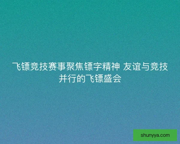 飞镖竞技赛事聚焦镖字精神 友谊与竞技并行的飞镖盛会